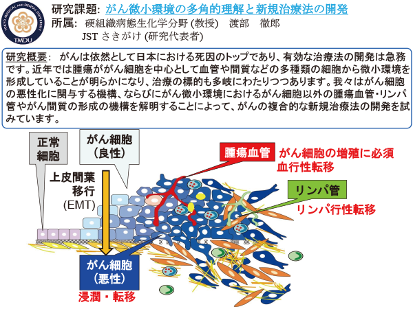 硬組織病態生化学分野研究活動写真1