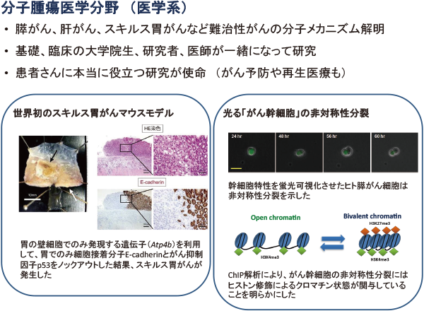 分子腫瘍医学分野研究活動写真1