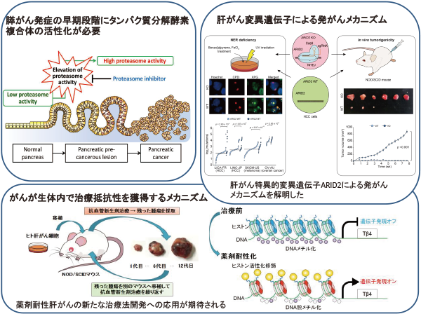 分子腫瘍医学分野研究活動写真2