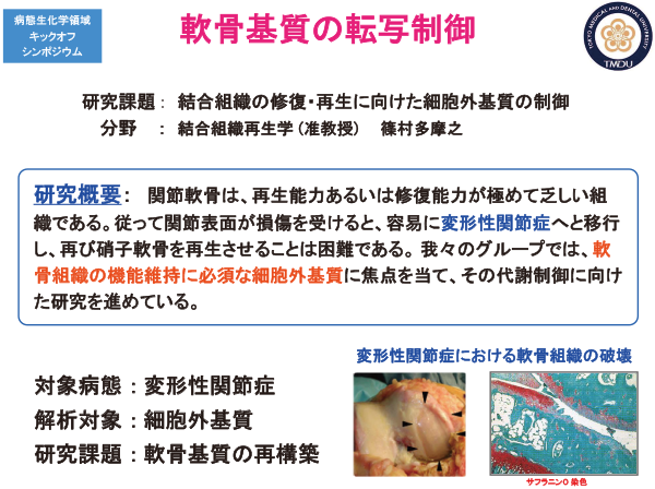結合組織再生学分野研究活動写真1