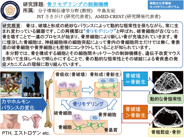 分子細胞機能学分野研究活動写真1