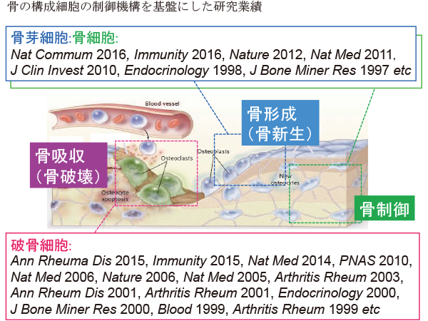 分子細胞機能学分野研究活動写真2