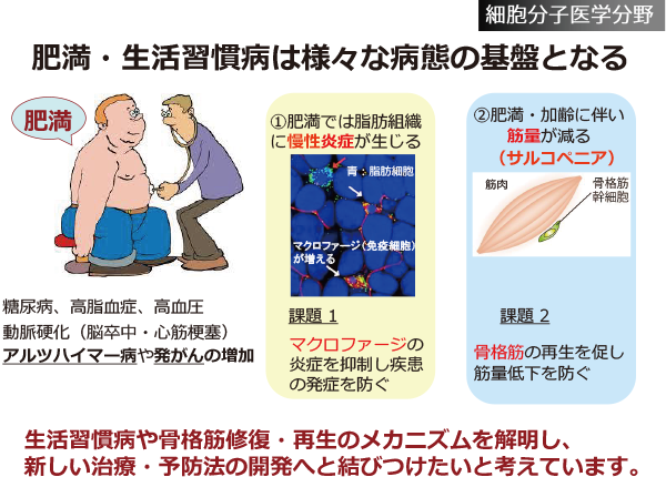 細胞分子医学分野研究活動写真2