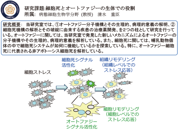 細胞分子医学分野研究活動写真1