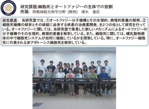 細胞分子医学分野研究活動写真2