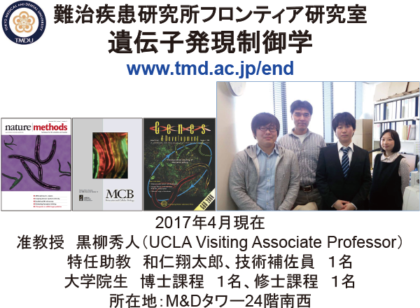 遺伝子発現制御学研究活動写真1