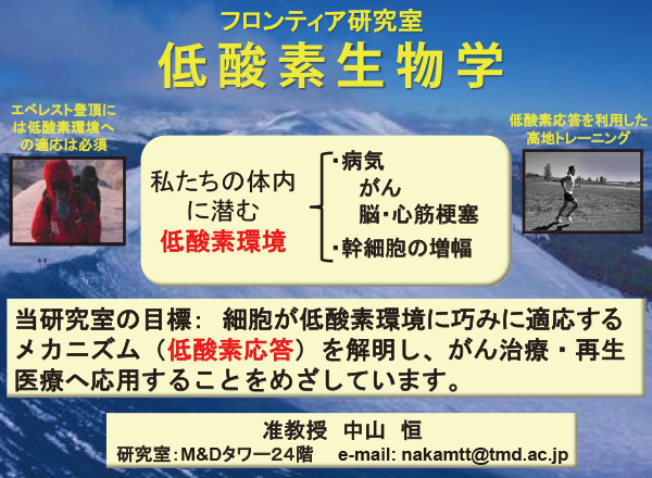 低酸素生物学研究活動写真1