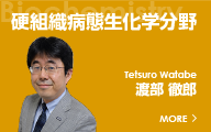 硬組織病態生化学分野