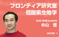 フロンティア研究室低酸素生物学分野