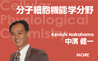 分子細胞機能学分野