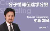 分子情報伝達学分野