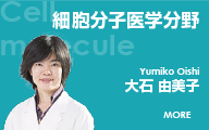 細胞分子医学分野